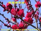 ֹ,󷨵ӹףʦԪ(21)
