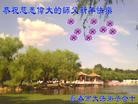 ֹ,󷨵ӹףʦԪ֣21
