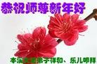 法轮功,本溪大法弟子恭祝师尊元旦快乐(15条)

