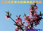 ֹ,Ϋ󷨵ӹףʦԪ(24)
