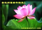 法轮功,秦皇岛大法弟子恭祝师尊元旦快乐(25条)
