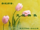 法轮功,哈尔滨大法弟子恭祝师尊元旦快乐(24条)
