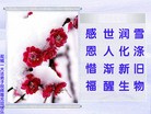 法轮功,哈尔滨大法弟子恭祝师尊元旦快乐(24条)
