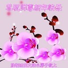 Published on 12/31/2013 ���ֹ�,С���ӹ�ףʦ��Ԫ������(19��)
