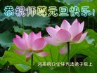 法轮功,河南大法弟子恭祝师尊元旦快乐(24条)
