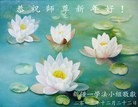 ֹ,½󷨵ӹףʦԪ(19)
