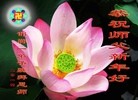 ֹ,ӱ󷨵ӹףʦԪ(23)
