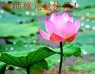 ֹ,ɹŴ󷨵ӹףʦԪ(23)
