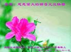 ֹ,󷨵ӹףʦԪ֣25
