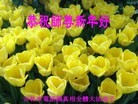 ֹ,д󷨵ӹףʦԪ(21)
