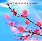 法轮功,河北大法弟子恭祝师尊元旦快乐(22条)
