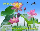法轮功,鸡西大法弟子恭祝师尊元旦快乐（12条）
