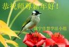 ֹ,Ĵ󷨵ӹףʦԪ(21)
