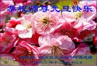 法轮功,吉林市大法弟子恭祝师尊元旦快乐(19条)
