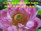 ֹ,󷨵ӹףʦԪ(18)

