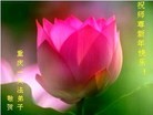 法轮功,重庆大法弟子恭祝师尊元旦快乐(25条)
