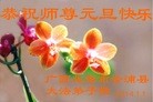 ֹ,󷨵ӹףʦԪ(18)
