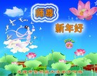 法轮功,大连大法弟子恭祝师尊元旦快乐(33条)
