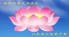 法轮功,陕西大法弟子恭祝师尊元旦快乐(31条)
