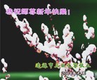 法轮功,吉林省大法弟子恭祝师尊元旦快乐(31条)
