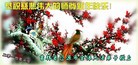 ֹ,ʡ󷨵ӹףʦԪ(31)
