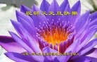 ֹ,Ϋ󷨵ӹףʦԪ(32)
