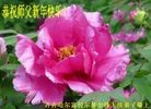 ֹ,󷨵ӹףʦԪ֣24
