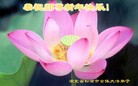 ֹ,󷨵ӹףʦԪ(21)
