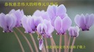 ֹ,󷨵ӹףʦԪ(25)
