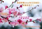 ֹ,󷨵ӹףʦԪ(20)
