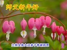 ֹ,󷨵ӹףʦԪ(21)

