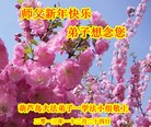 ֹ,«󷨵ӹףʦԪ(18)
