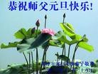 ֹ,󷨵ӹףʦԪ(19)
