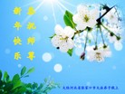 ֹ,żҿڴ󷨵ӹףʦԪ(12)
