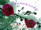 ֹ,ӱ󷨵ӹףʦԪ(30)
