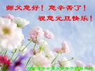 法轮功,湖南大法弟子恭祝师尊元旦快乐(29条)
