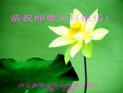 ֹ,ӱ󷨵ӹףʦԪ(30)
