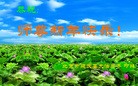 ֹ,󷨵ӹףʦԪ(31)
