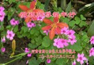 ֹ,ϴ󷨵ӹףʦԪ(28)
