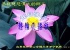 ֹ,ʴ󷨵ӹףʦԪ(15)
