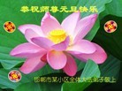 法轮功,河北大法弟子恭祝师尊元旦快乐(22条)
