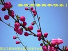 ֹ,󷨵ӹףʦԪ֣25
