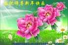 ֹ,󷨵ӹףʦԪ(31)

