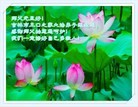 ֹ,д󷨵ӹףʦԪ(21)

