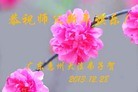 法轮功,广东大法弟子恭祝师尊元旦快乐(22条)

