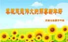 ֹ,󷨵ӹףʦԪ(30)
