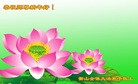 ֹ,ϴ󷨵ӹףʦԪ(29)
