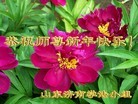 ֹ,ϴ󷨵ӹףʦԪ(21)
