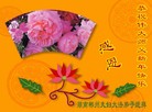 法轮功,湖南大法弟子恭祝师尊元旦快乐(29条)
