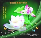 Published on 12/31/2013 ���ֹ�,��½�󷨵��ӹ�ףʦ��Ԫ������(64��)
